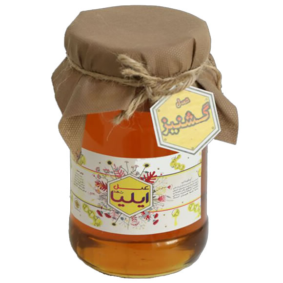 عسل گشنیز – ۴۵۰ گرم
